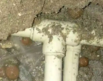 南江测漏水多少钱